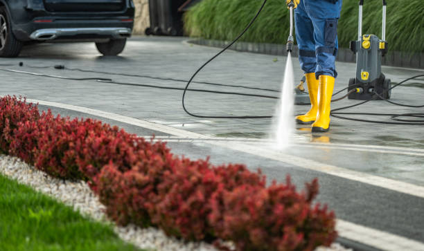 Solar Panel Cleaning in Cheney, KS